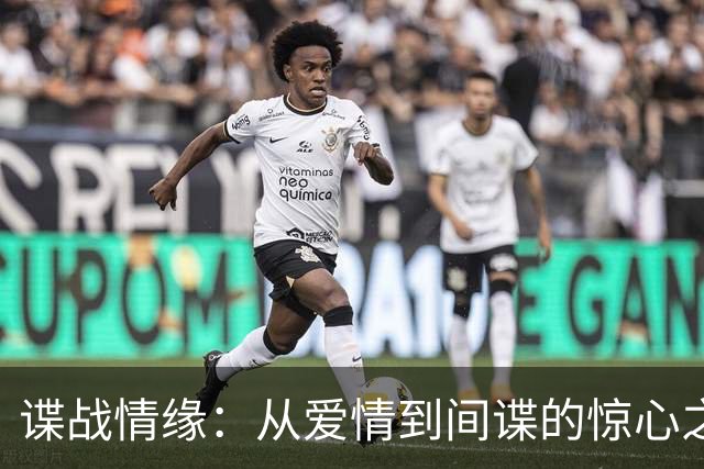 谍战情缘：从爱情到间谍的惊心之旅